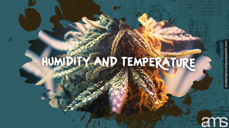 Humidity and Temperature