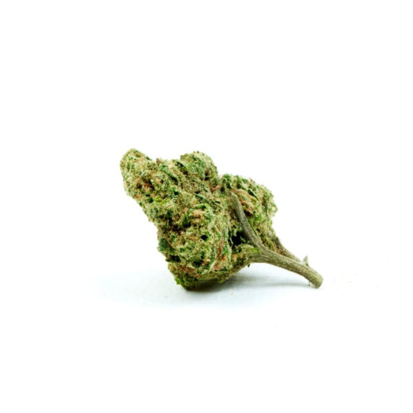 Cheese Autoflower Seeds - Image 2