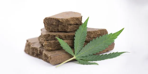 hashish