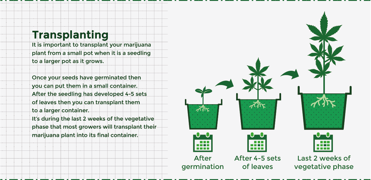 Pot size comparison