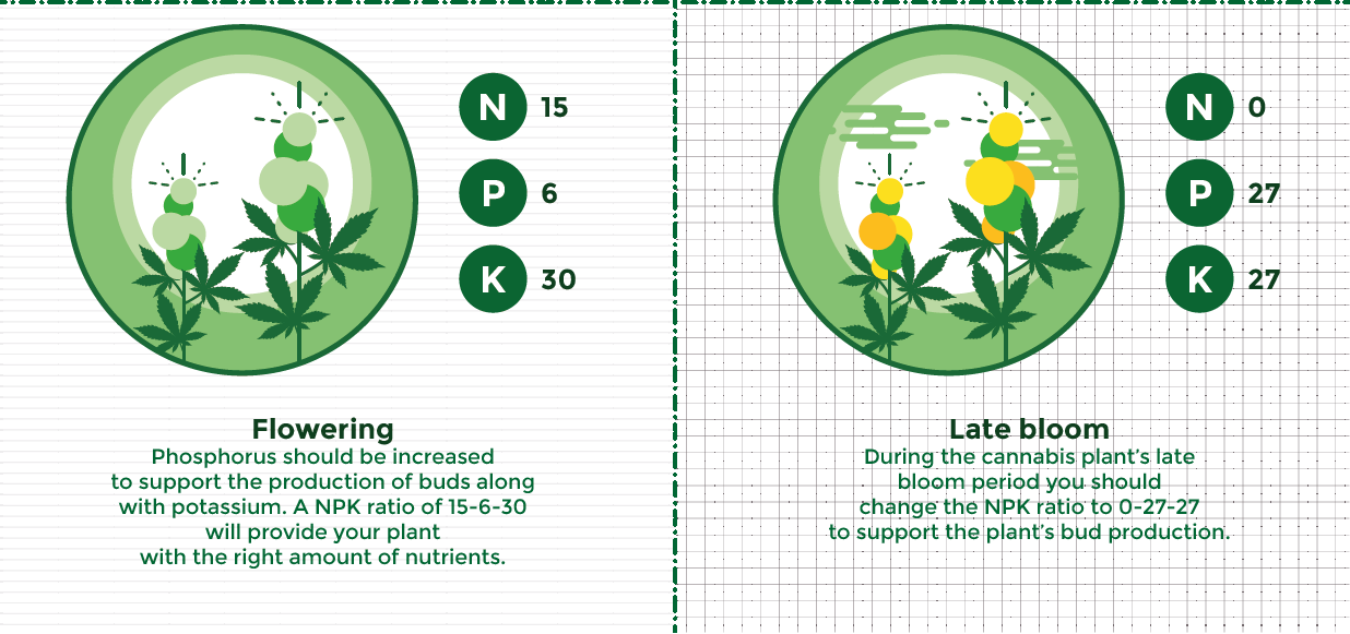 Flowering nutrients