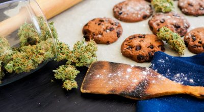 cbd edibles