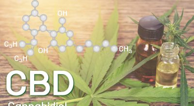 cbd terpenes