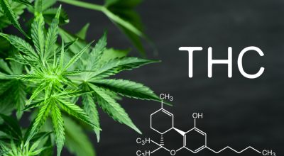 Advantages of using high-THC products