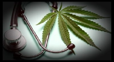 The Benefits Linked to the use of Cannabis