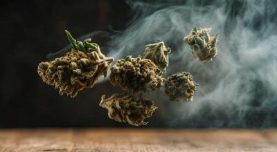 Cannabis bud labeled with dominant terpenes like limonene and myrcene – what is a good terpene level for cannabis