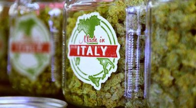 cannabis-light