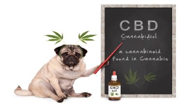 cbd thc