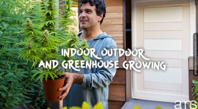 indoor outdoor greenhouse growing
