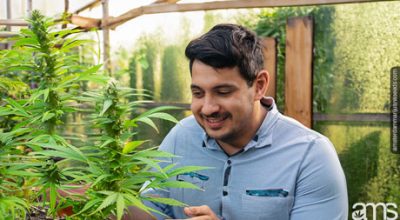 climate considerations different cultivation environments