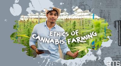 cover_ethics_of_cannabis_farming3