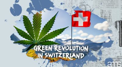 cannabis Swiss Alps