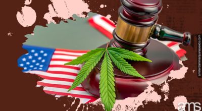 judges hammer with a cannabis leaf and flags