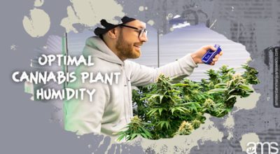 man measures the humidity in his grow room
