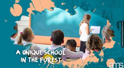 Unique School in the Forest