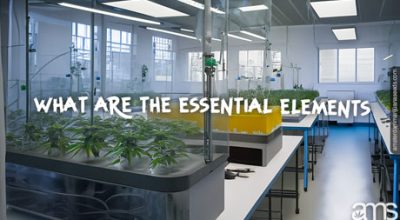 essential elements create suitable germination environment