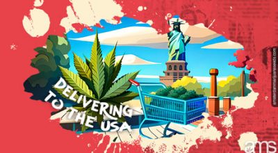 Marijuana Seeds Delivery USA