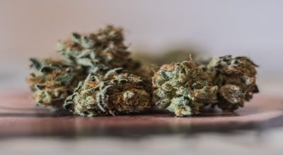 Dry Weed