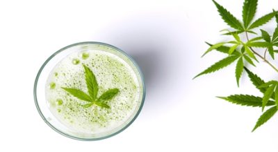 Hemp Smoothie