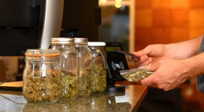 curing cannabis buds