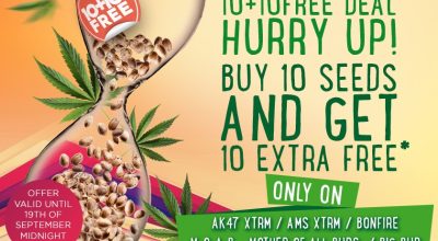 weekend promotion
