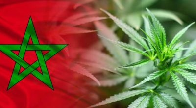 Legalization of Beldia Cultivation in Morocco