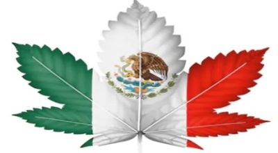 Medical Marijuana is legalized in Mexico