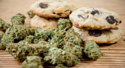 cannabis affects appetite
