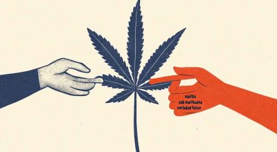 Illustration showing common myths about marijuana being debunked with facts and cannabis plant icons