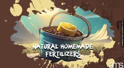 Natural Homemade Marijuana fertilizers