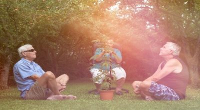 parents_marijuana-1555420127