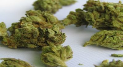 eat raw weed