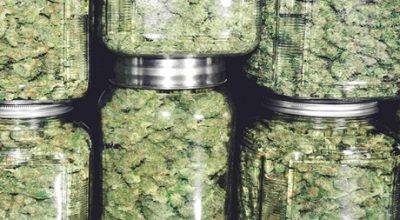 Odor-Proof Cannabis Storage