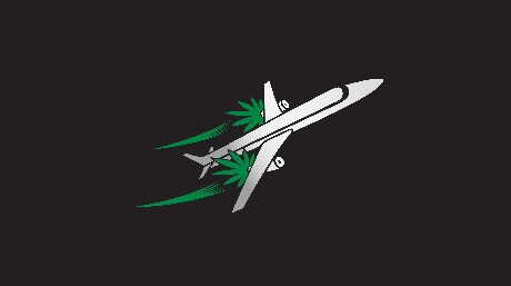 Plane cannabis leaves