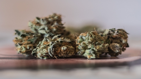 Dry Weed