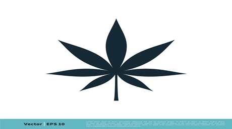 Marijuana
