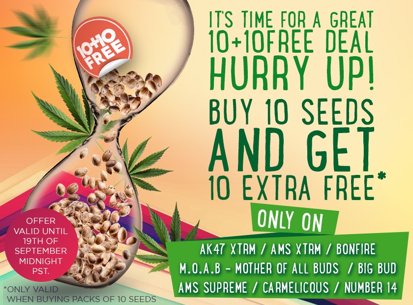 weekend promotion